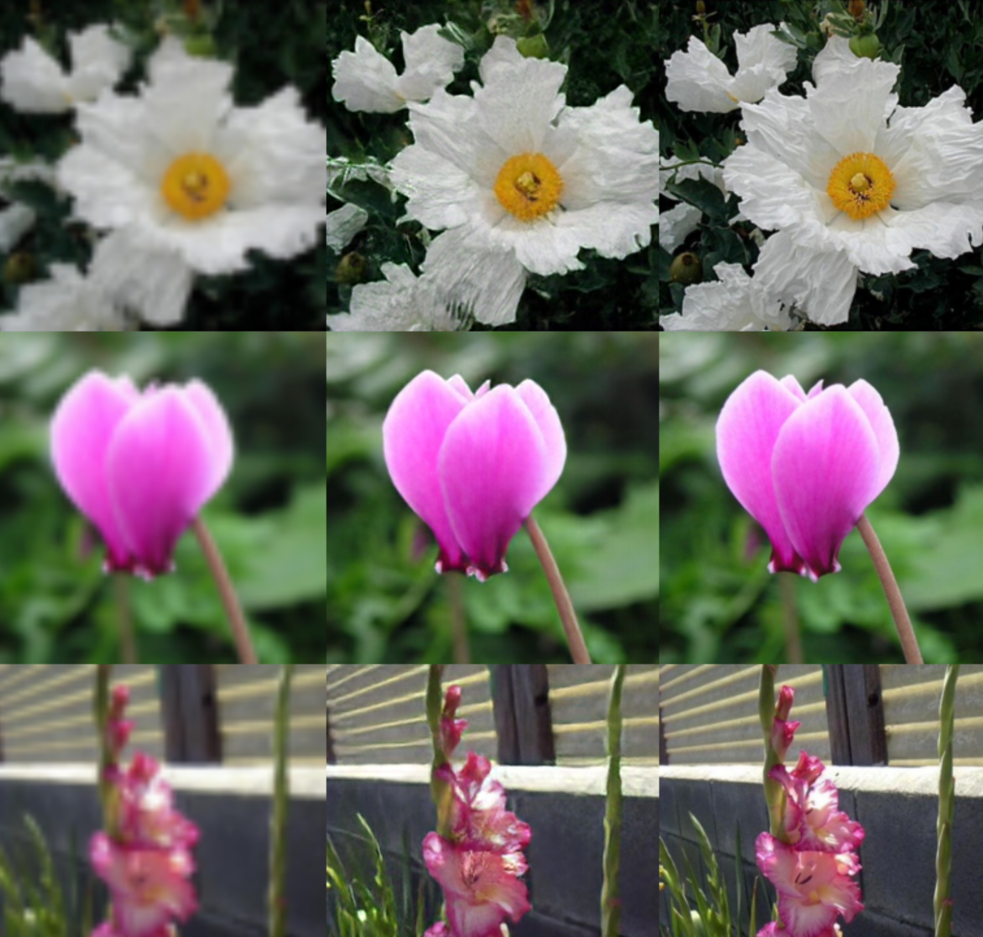 ../_images/shot_flower3.png
