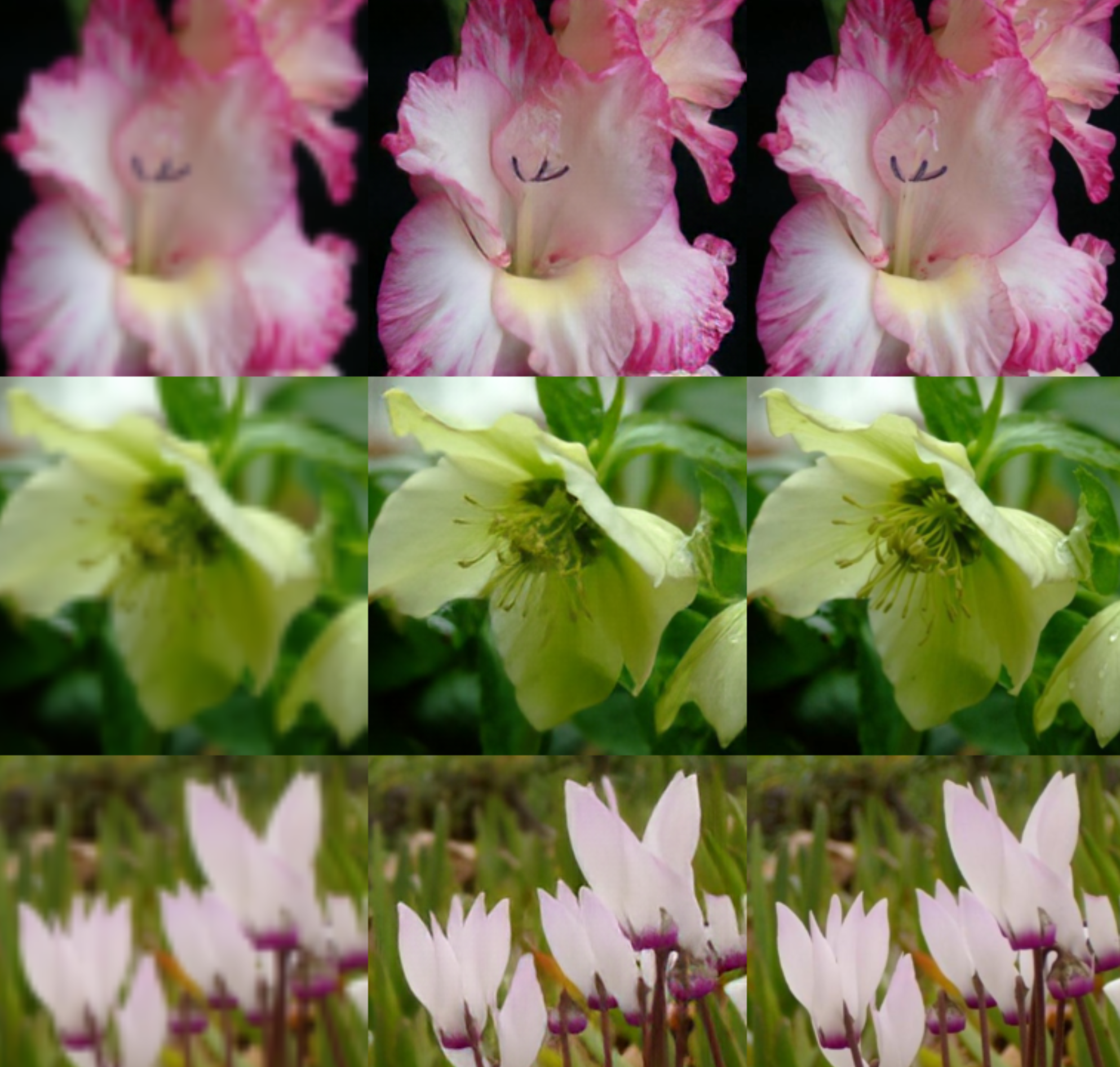 ../_images/shot_flower5.png